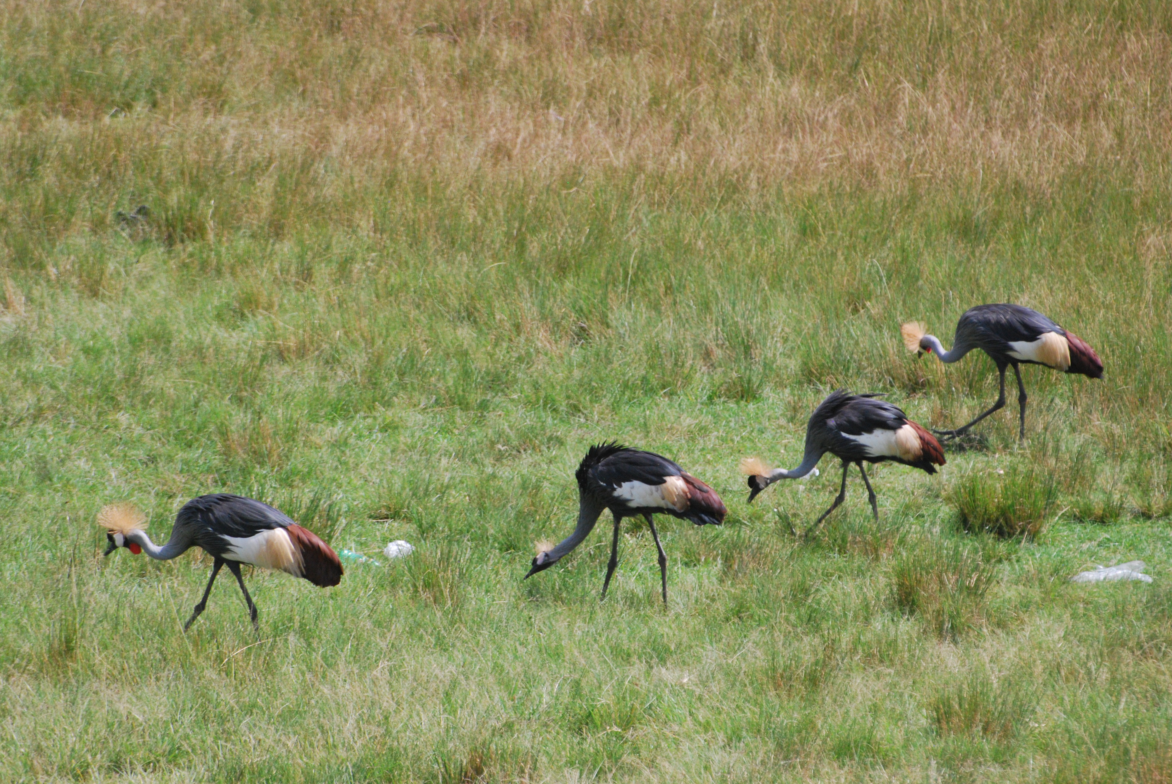 The MY TRIP AFRICA TOURS story, told through the landscapes we love.