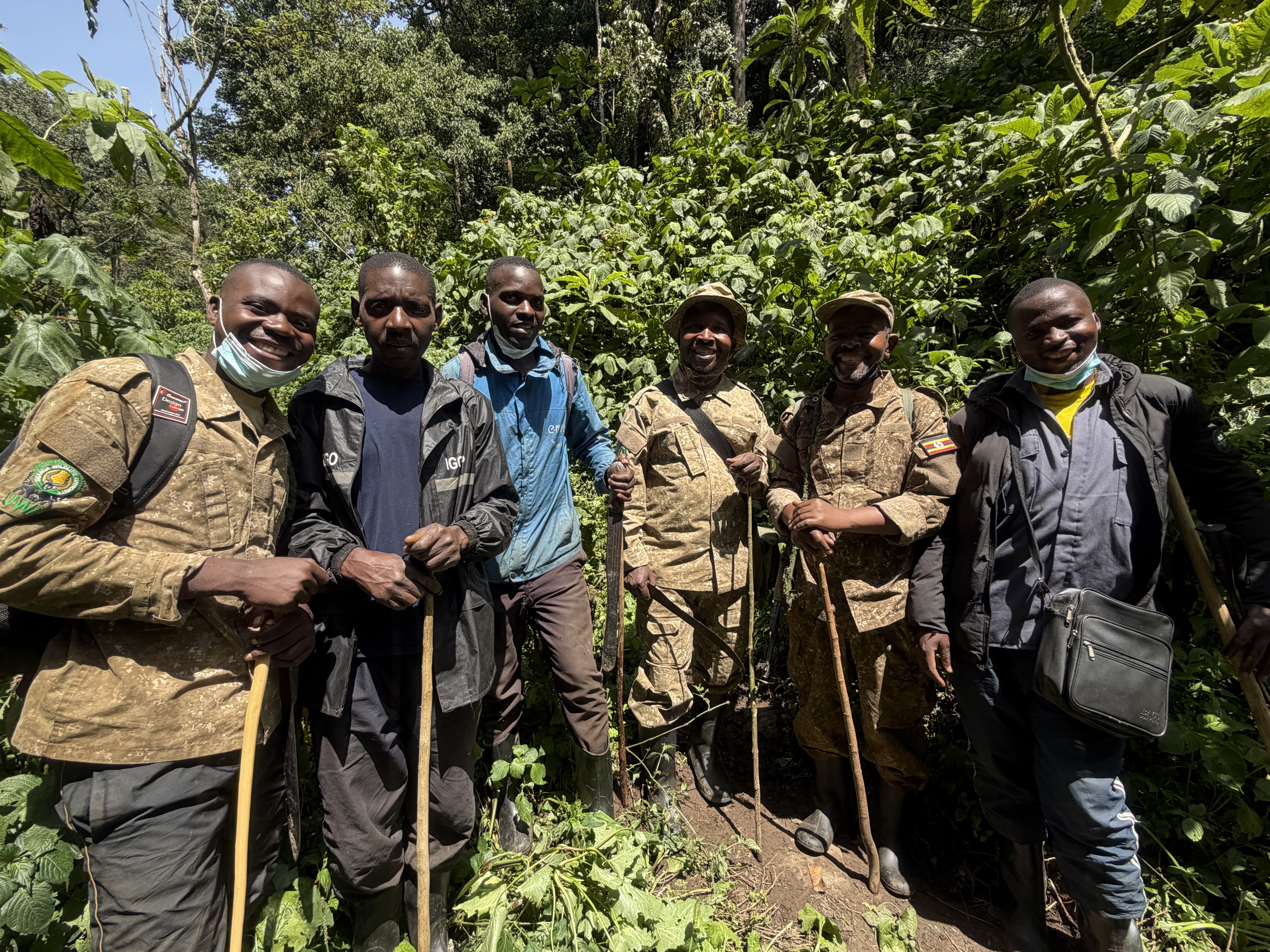 Our team of former Uganda Wildlife Authority ranger guides in Bwindi Impenetrable Forest.