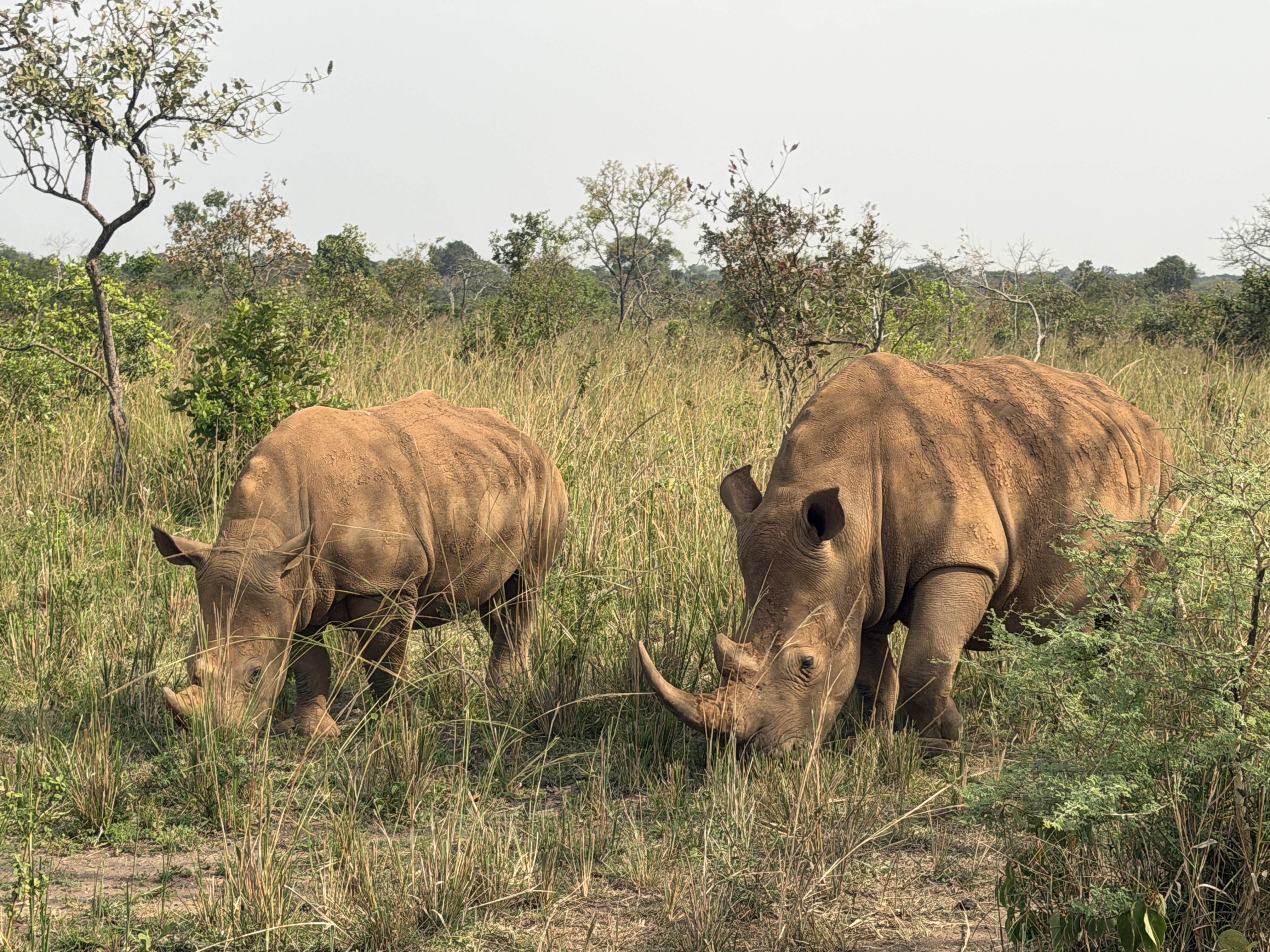 A signature MY TRIP AFRICA TOURS safari experience in the field.