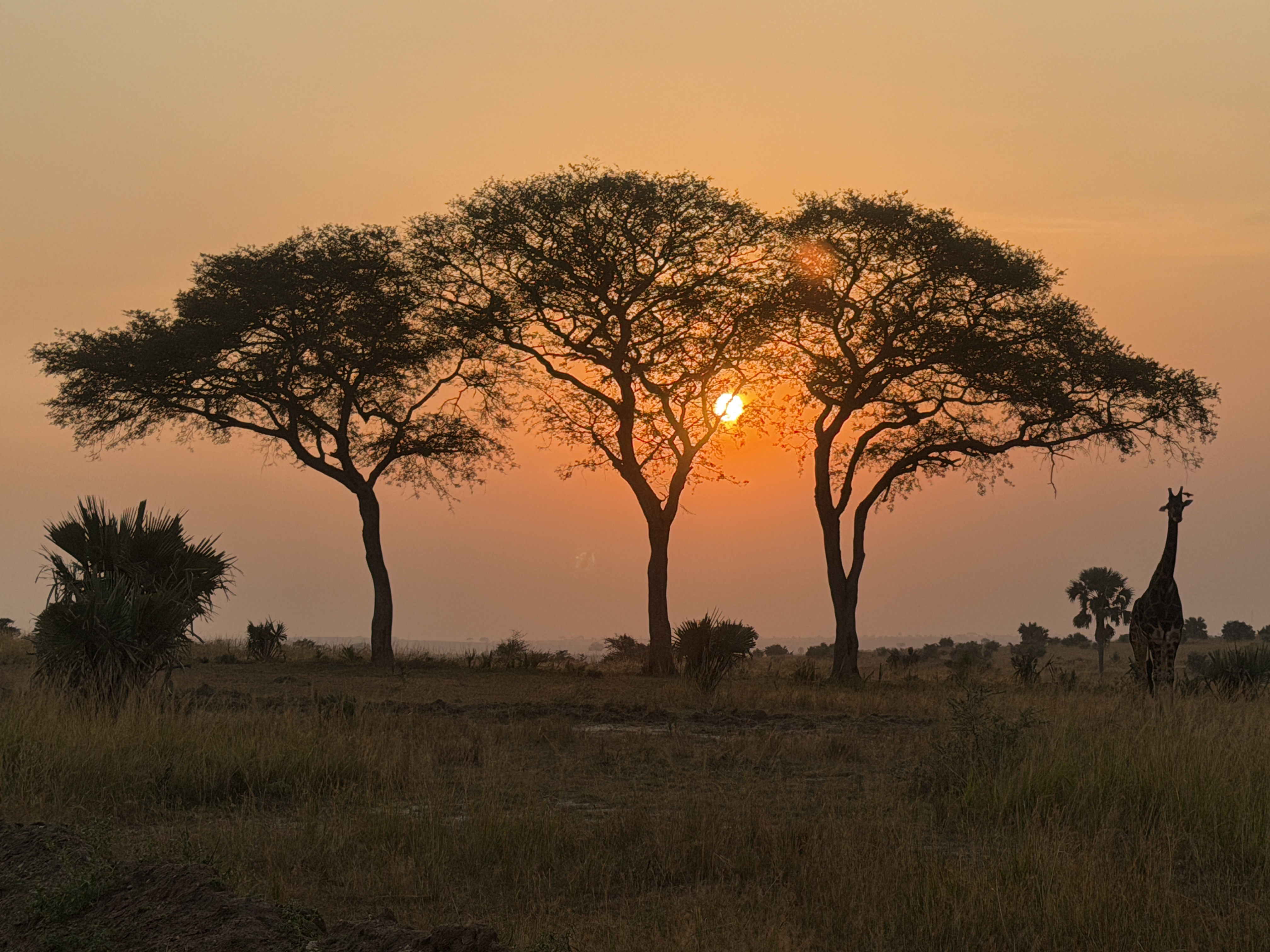 Sweeping East African landscape featured across our curated itineraries.